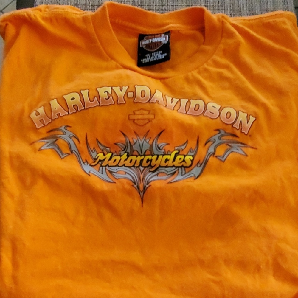 Kids Harley Davidson t shirt